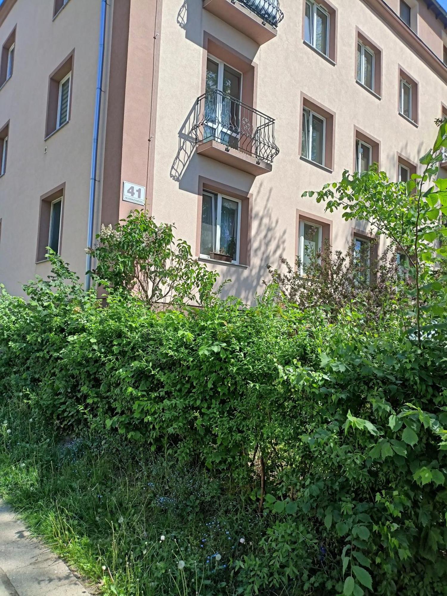 Apartament Slowackiego 41 Jelenia Góra Exterior foto